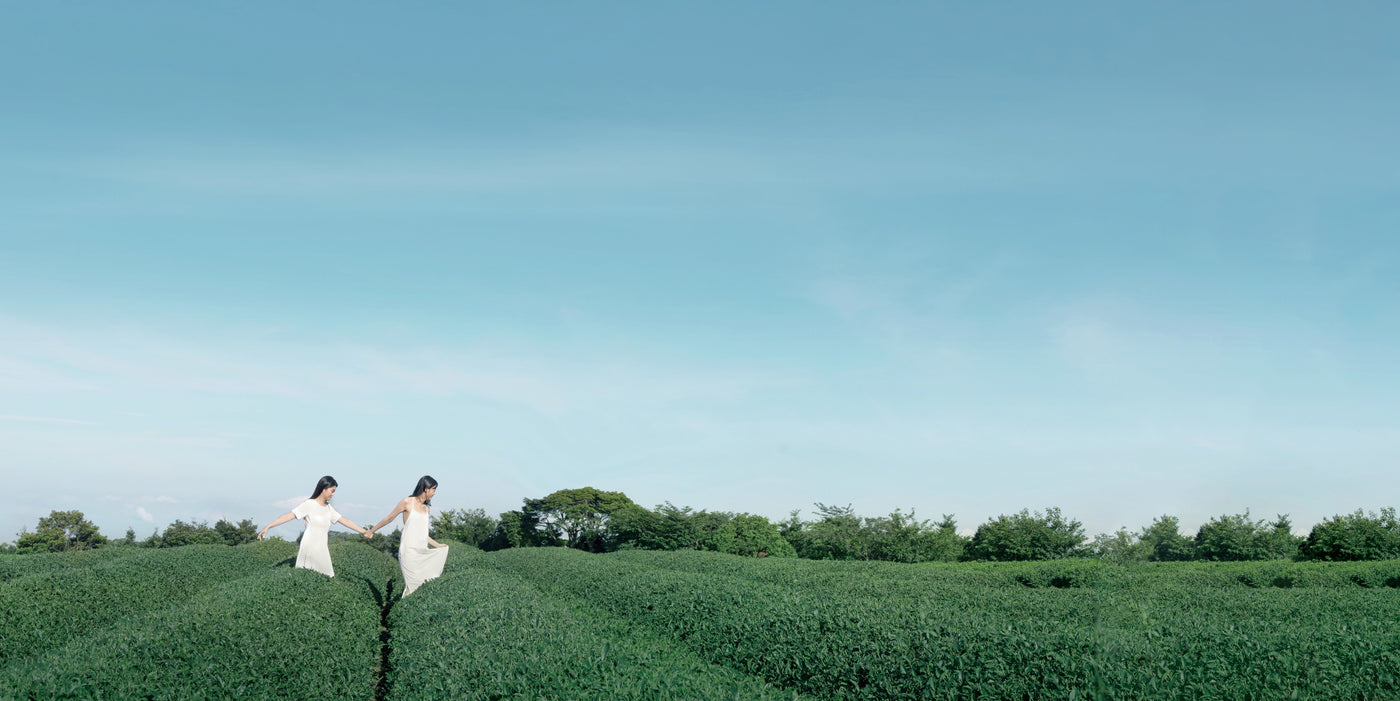 Two women walking through tea fields in Pinglin, Taiwan