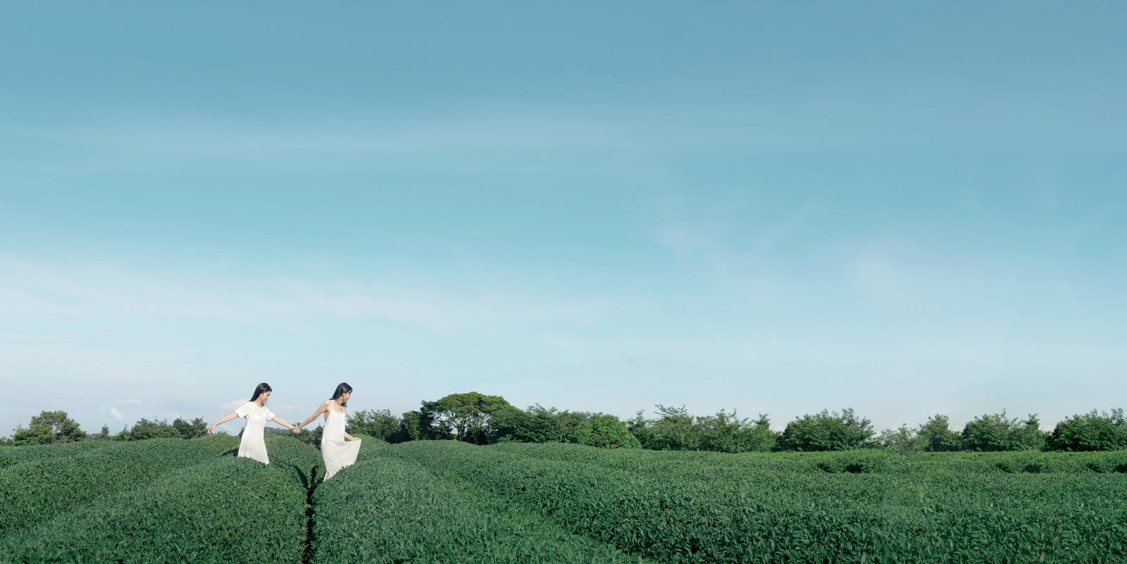 Two women walking through tea fields in Pinglin, Taiwan