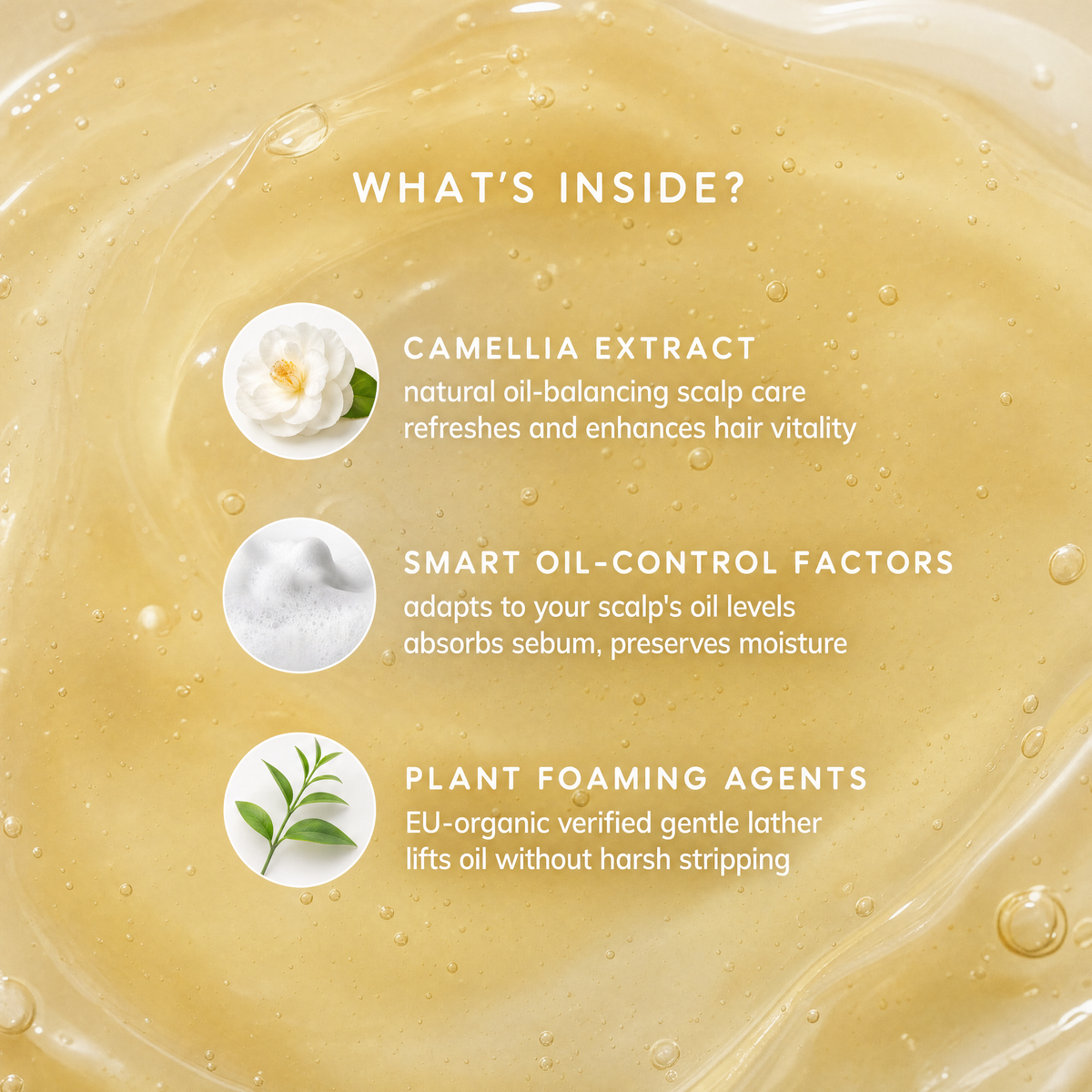 Camellia Oil-Control Shampoo