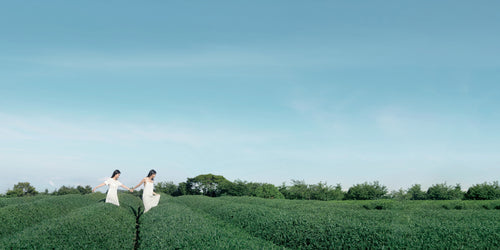 Two women walking through tea fields in Pinglin, Taiwan