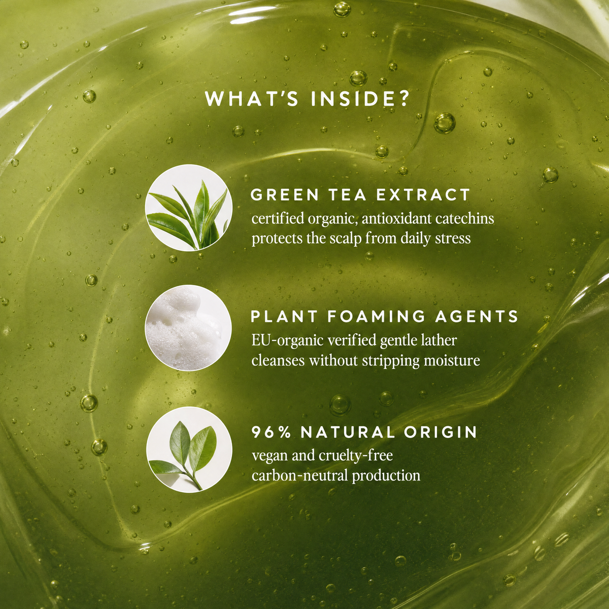 Green Tea Shampoo (Forest Green)