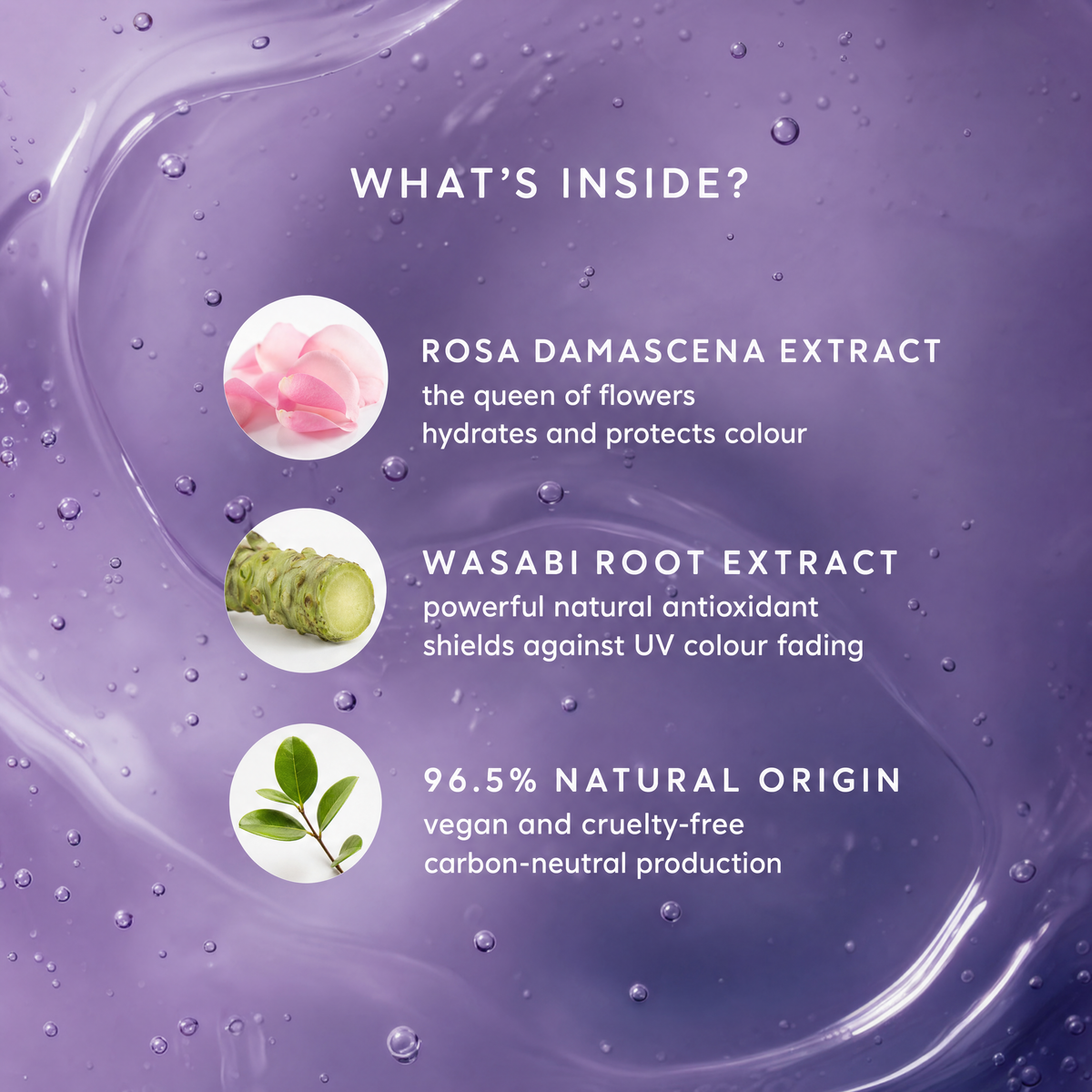 Purple Rose Color Care Shampoo